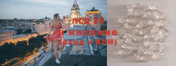 стаф Богородицк
