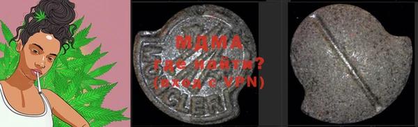 индика Жердевка
