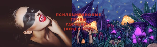 хмурый Богданович