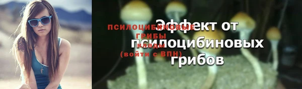 2c-b Белокуриха
