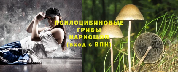 хмурый Богданович