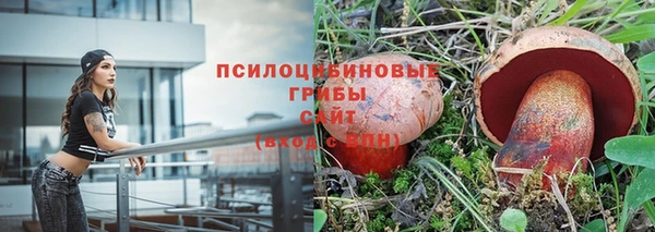 СК Бугульма