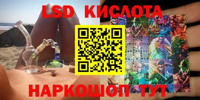 прущие грибы Конаково
