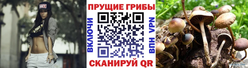 Псилоцибиновые грибы прущие грибы  наркота  Кушва 