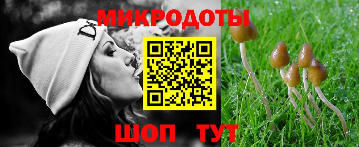 Псилоцибиновые грибы GOLDEN TEACHER  Вход с VPN  Кушва  Галлюциногенные грибы Psilocybe 